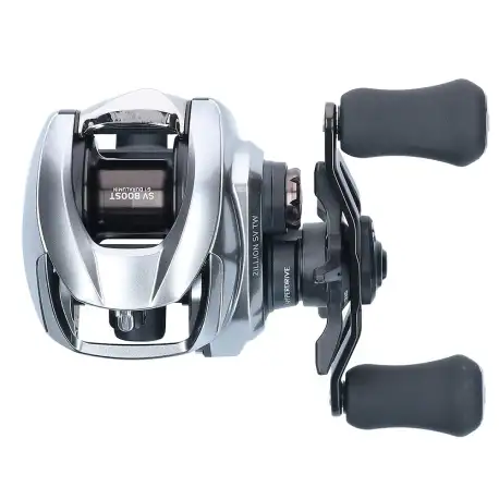 Daiwa 21 ZILLION SV TW 100HL G