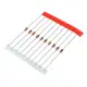 250 Pcs 25 Values 1W Zener Diode Assorted Kit 3V To 33V